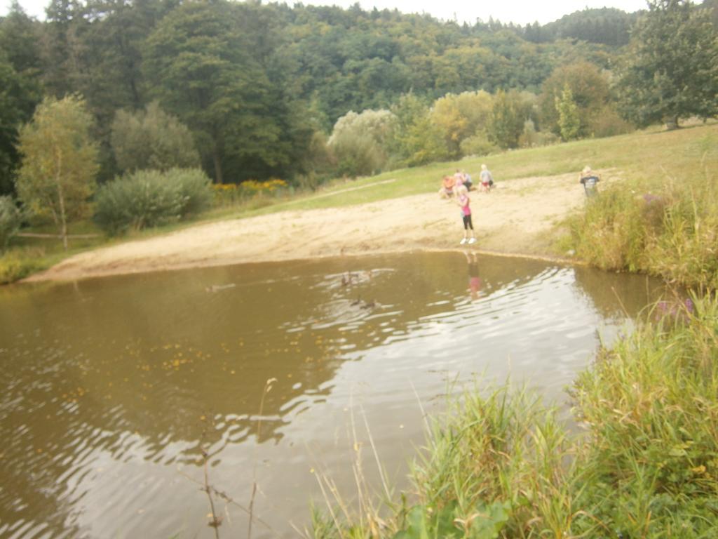 Vila Sazava Sázava