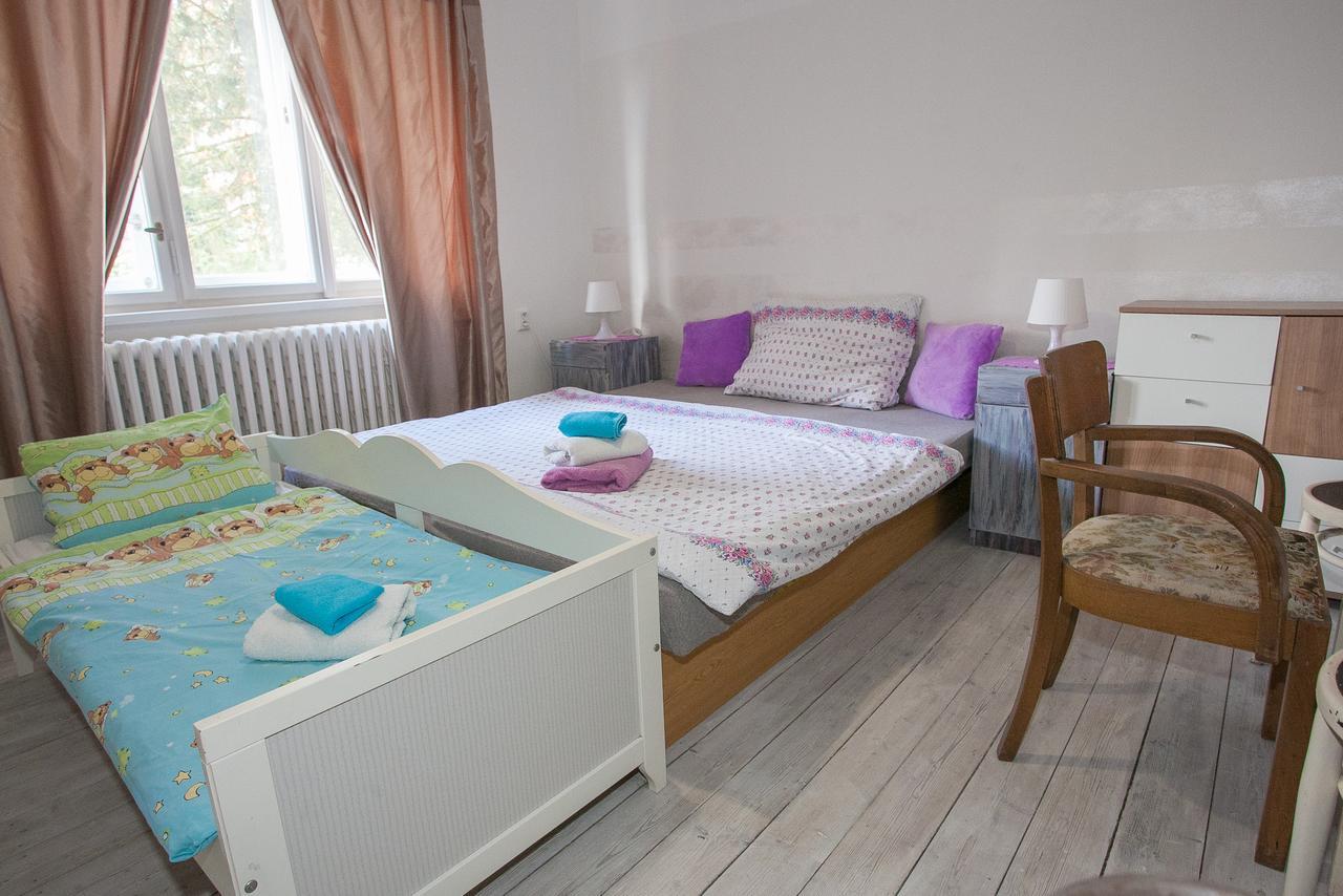 Vila Sazava Villa Sazava (Benesov)